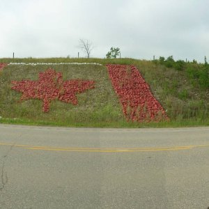 Panorama_210