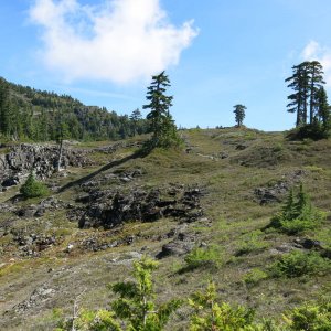 IMG_4137