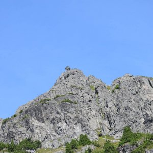 IMG_4157