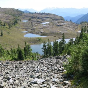 IMG_4205