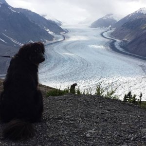 2015 Salmon Glacier Trip