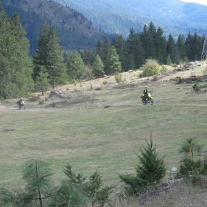 IMG_4350