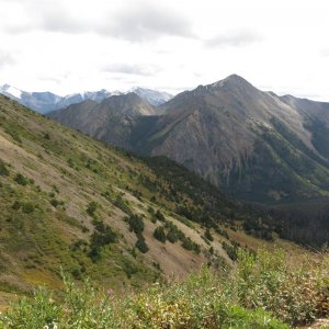 IMG_4393