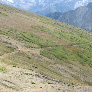 IMG_4516