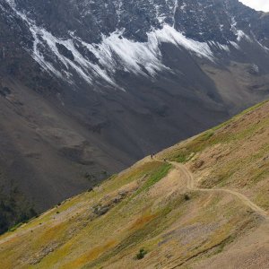 IMG_4523