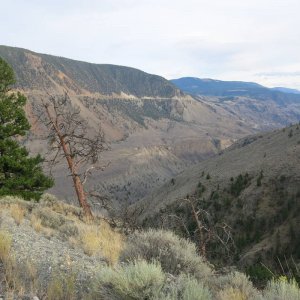 IMG_4558