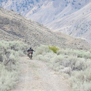 IMG_4595