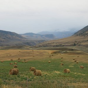 IMG_4640