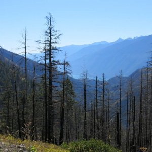 IMG_4857