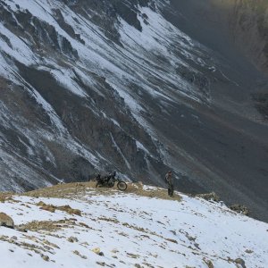 IMG_4494