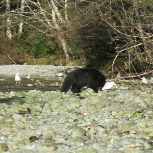 IMG_4942