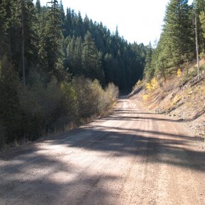 Coalmont road