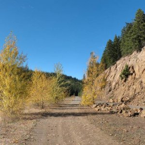 Scenery along the KVR