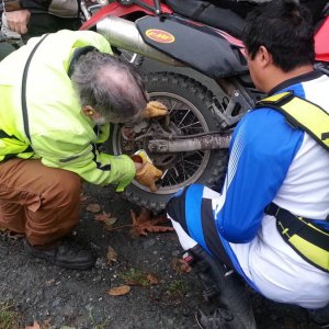 Bill sliming the knobby