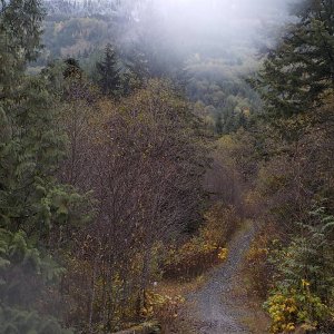 Run to The Border November 2015