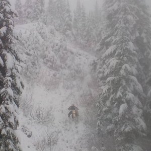 Run to The Border November 2015