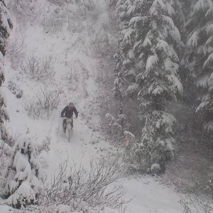 Run to The Border November 2015
