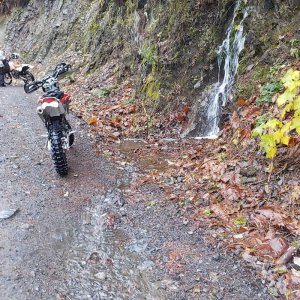 Nov 6 2015 Tamihi Trail Maintenance