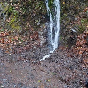 Nov 6 2015 Tamihi Trail Maintenance