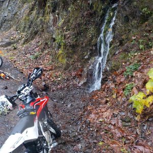 Nov 6 2015 Tamihi Trail Maintenance