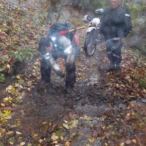 Nov 6 2015 Tamihi Trail Maintenance