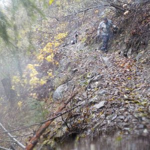 Nov 6 2015 Tamihi Trail Maintenance
