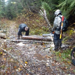Nov 6 2015 Tamihi Trail Maintenance