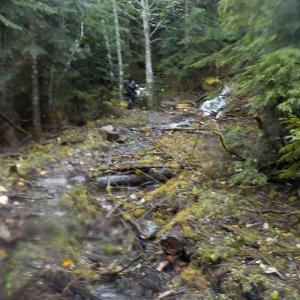 Nov 6 2015 Tamihi Trail Maintenance