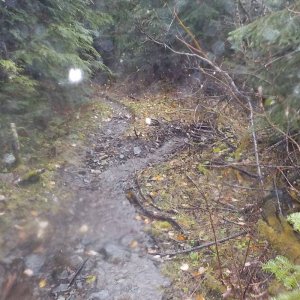Nov 6 2015 Tamihi Trail Maintenance