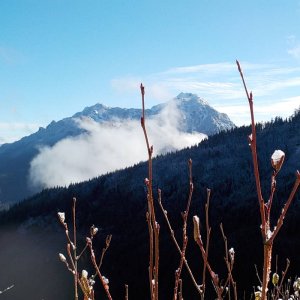 Nov 8 2015 Tamihi