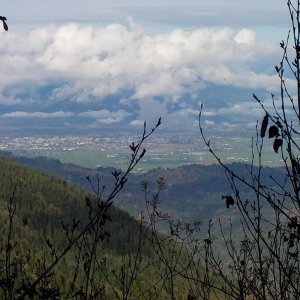 Nov 8 2015 Tamihi