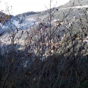 Nov 8 2015 Tamihi