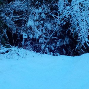 Tamihi Dec 2015