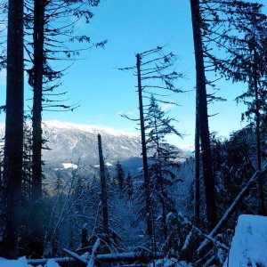 Tamihi Dec 2015