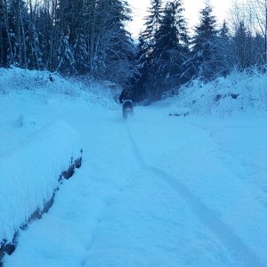 Tamihi Dec 2015