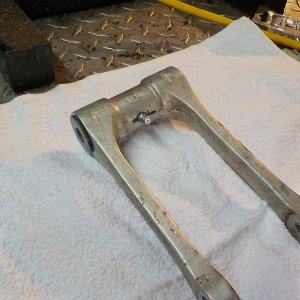 TE310 Swing Arm Bearing