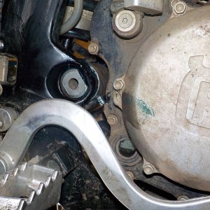 TE310 Swing Arm Bearing