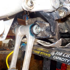 TE310 Swing Arm Bearing