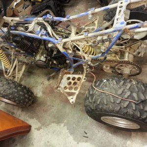 Trevor's Quad