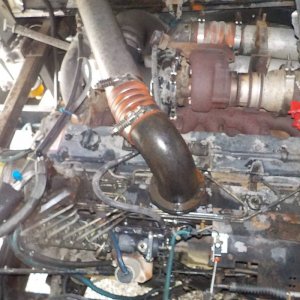 cummins 8.3