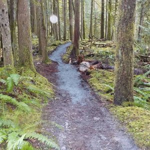Chipmunk Bear Cub Loop 2016
