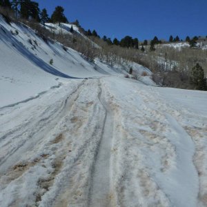 P1130366