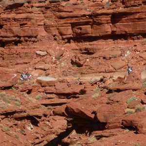 P1130409