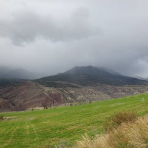IMG_1833
