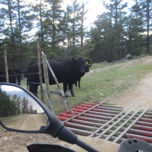 Vancouver to Lillooet to Big Bar to Farwell Canyon to Bella Coola