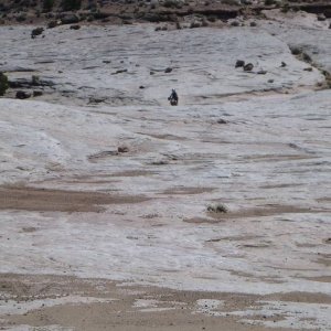 P1130622