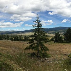 IMG_1493