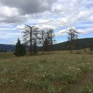 IMG_1497