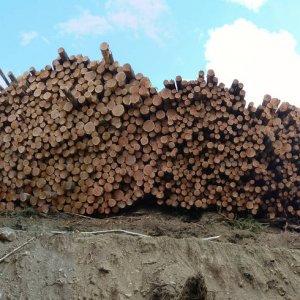 Panorama_35