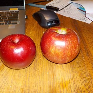 apples